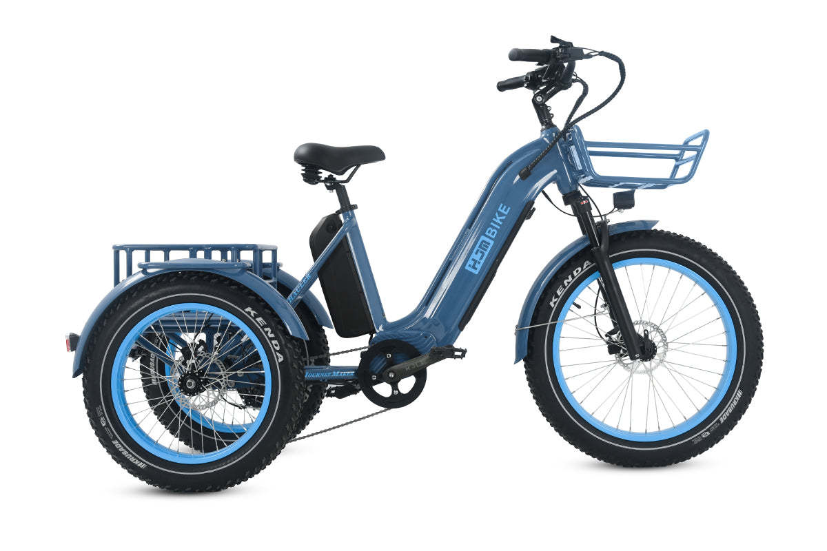 r Pro Cargo 1000W Rear-Drive Fat Tire Etrike (Fully Assembled)