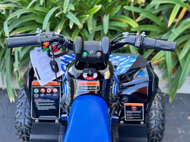 Venom E-Racer | 1000w Electric ATV | 36V