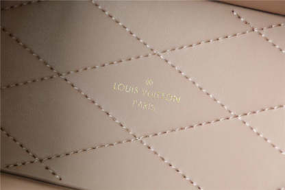 LV Camera Box Monogram Canvas By Nicolas Ghesquiere For Women,  Shoulder And Crossbody Bags 21.5cm/8.5in LV 