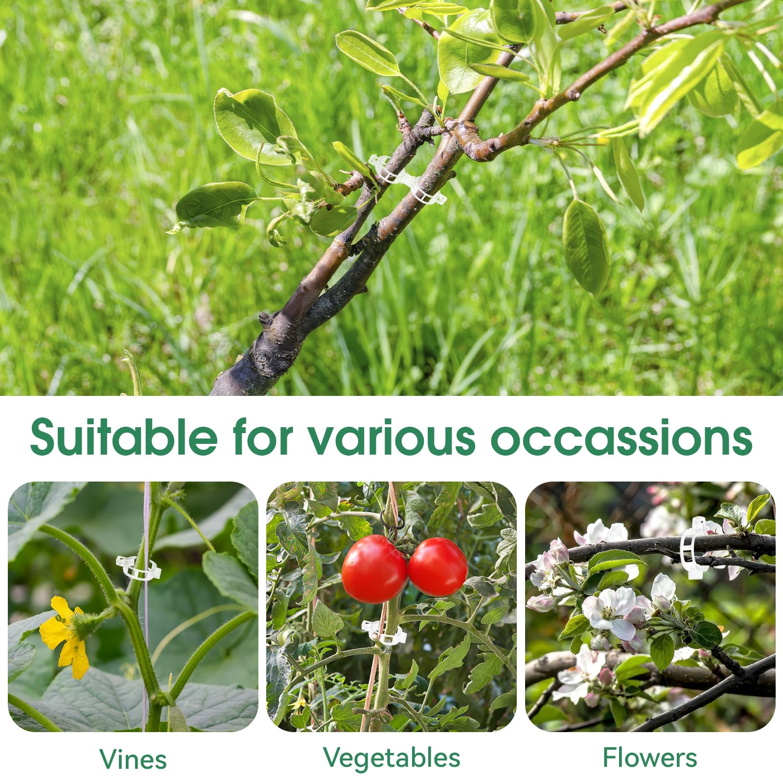 Durable & Weather-Resistant Plant Support Clips