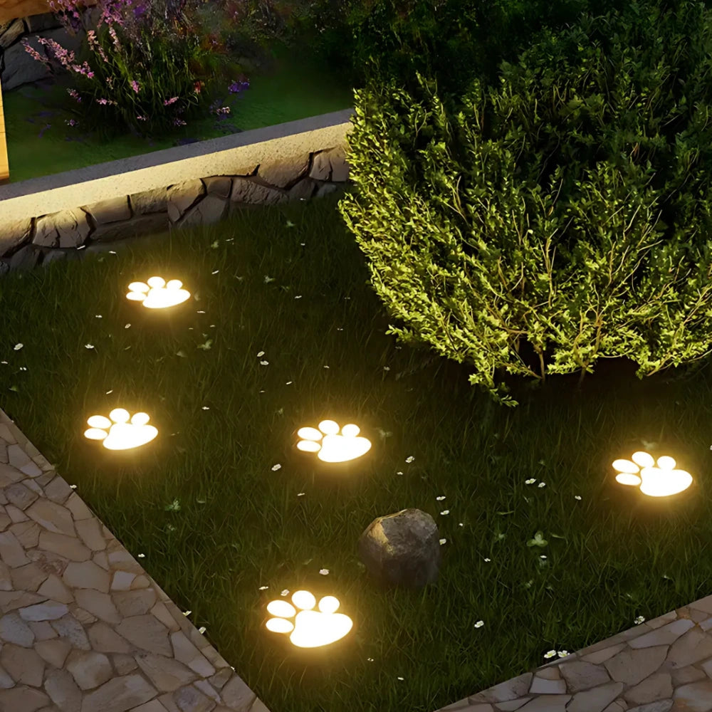 Solar paw lights for pet lovers🐾