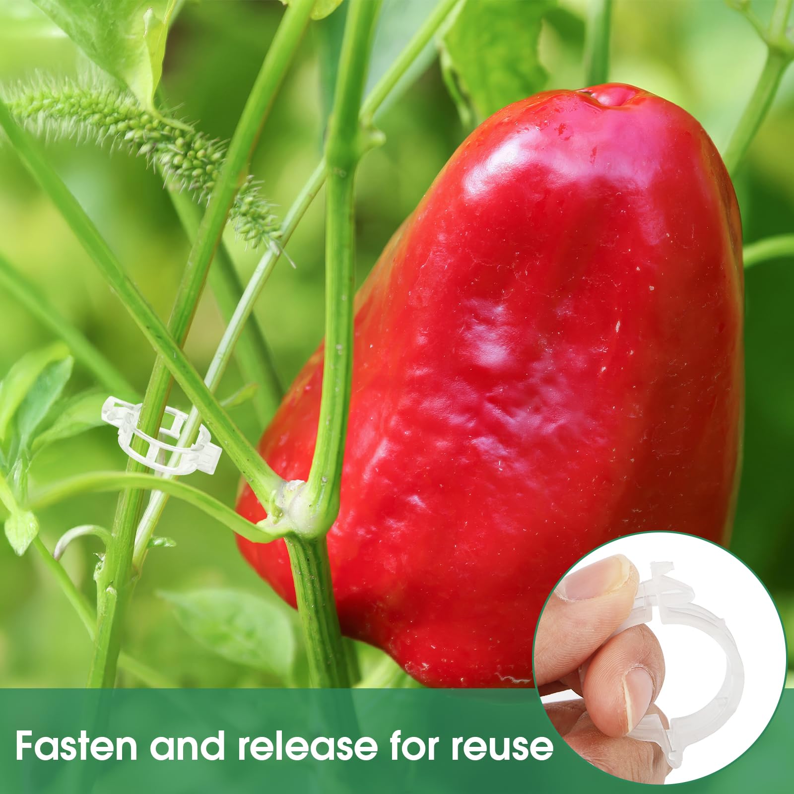 Durable & Weather-Resistant Plant Support Clips