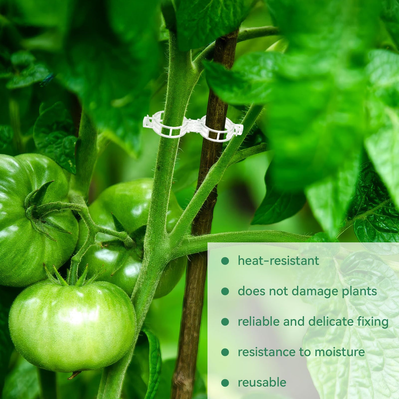 Durable & Weather-Resistant Plant Support Clips