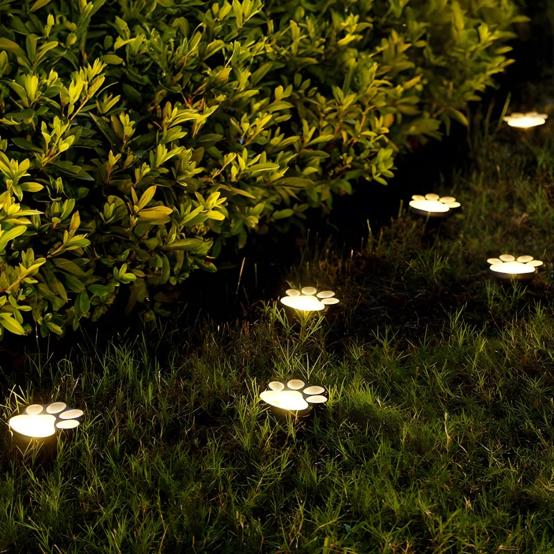 Solar paw lights for pet lovers🐾