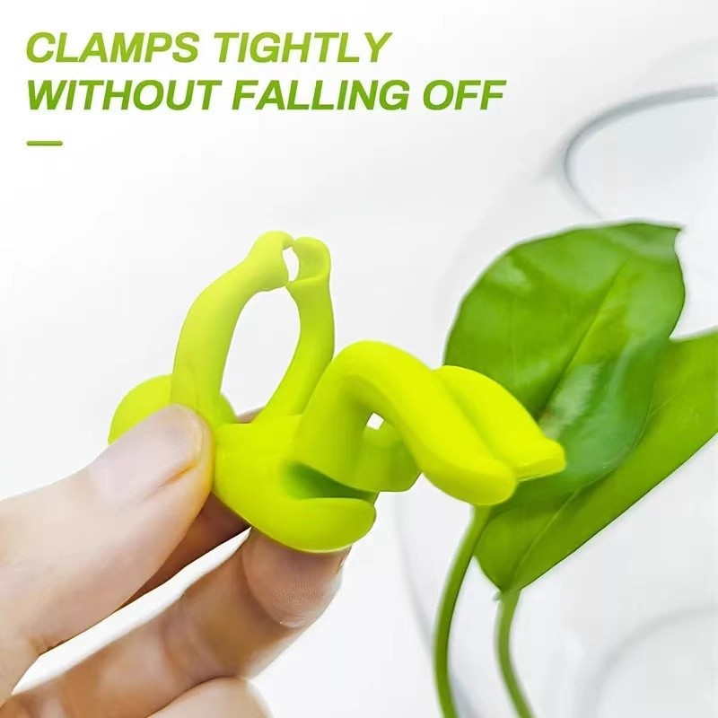 Plant Cutting Stabilizer | Increase Root Growth | Whimsical & Unique Decor for Leafy Lovers