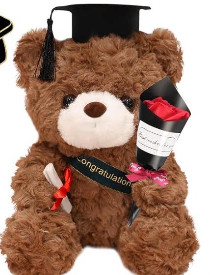 Graduation Teddy Bear