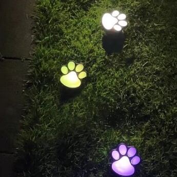 Solar paw lights for pet lovers🐾