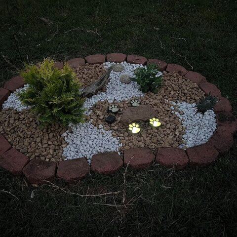 Solar paw lights for pet lovers🐾