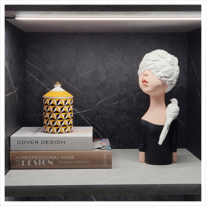 Bookshelf Soft Decorations & Creative Home Crafts: Artificial Flowers and Shallow Plate Combination