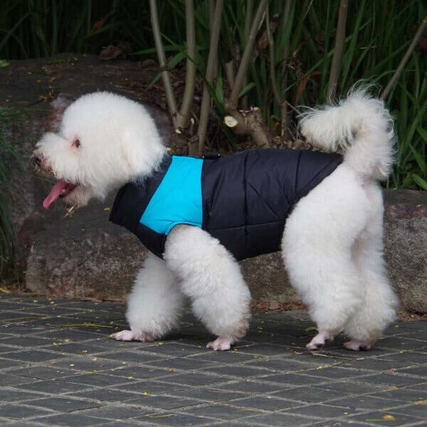 🐕Winter Warm Waterproof Dog Vest with Zipper (Size S-7XL)✨
