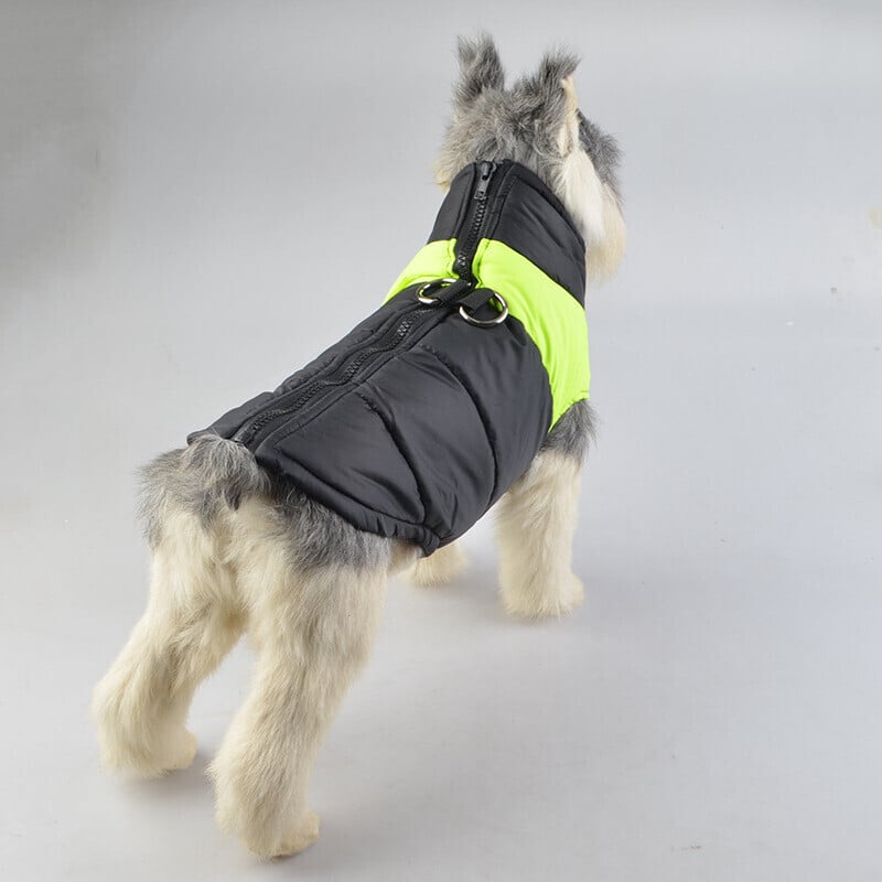 🐕Winter Warm Waterproof Dog Vest with Zipper (Size S-7XL)✨