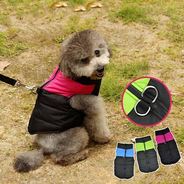 🐕Winter Warm Waterproof Dog Vest with Zipper (Size S-7XL)✨