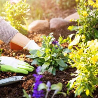 Gardening supplies