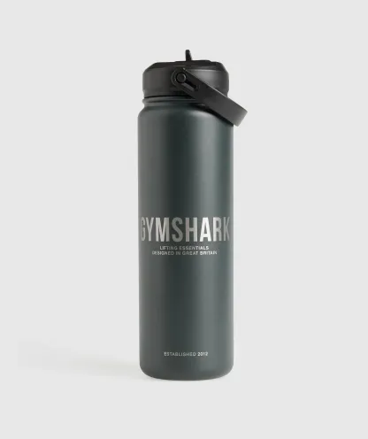 Metal Insulated Straw Bottle 700ml