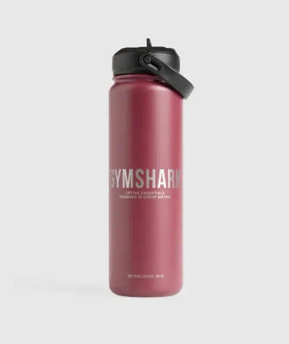Metal Insulated Straw Bottle 24oz