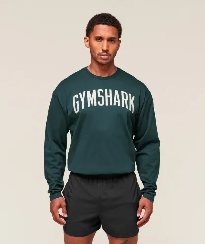 Worn Graphic Long Sleeve T-Shirt