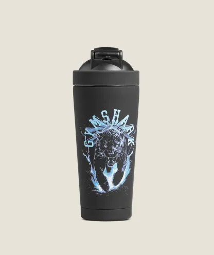 Graphic Metal Insulated Shaker Bottle