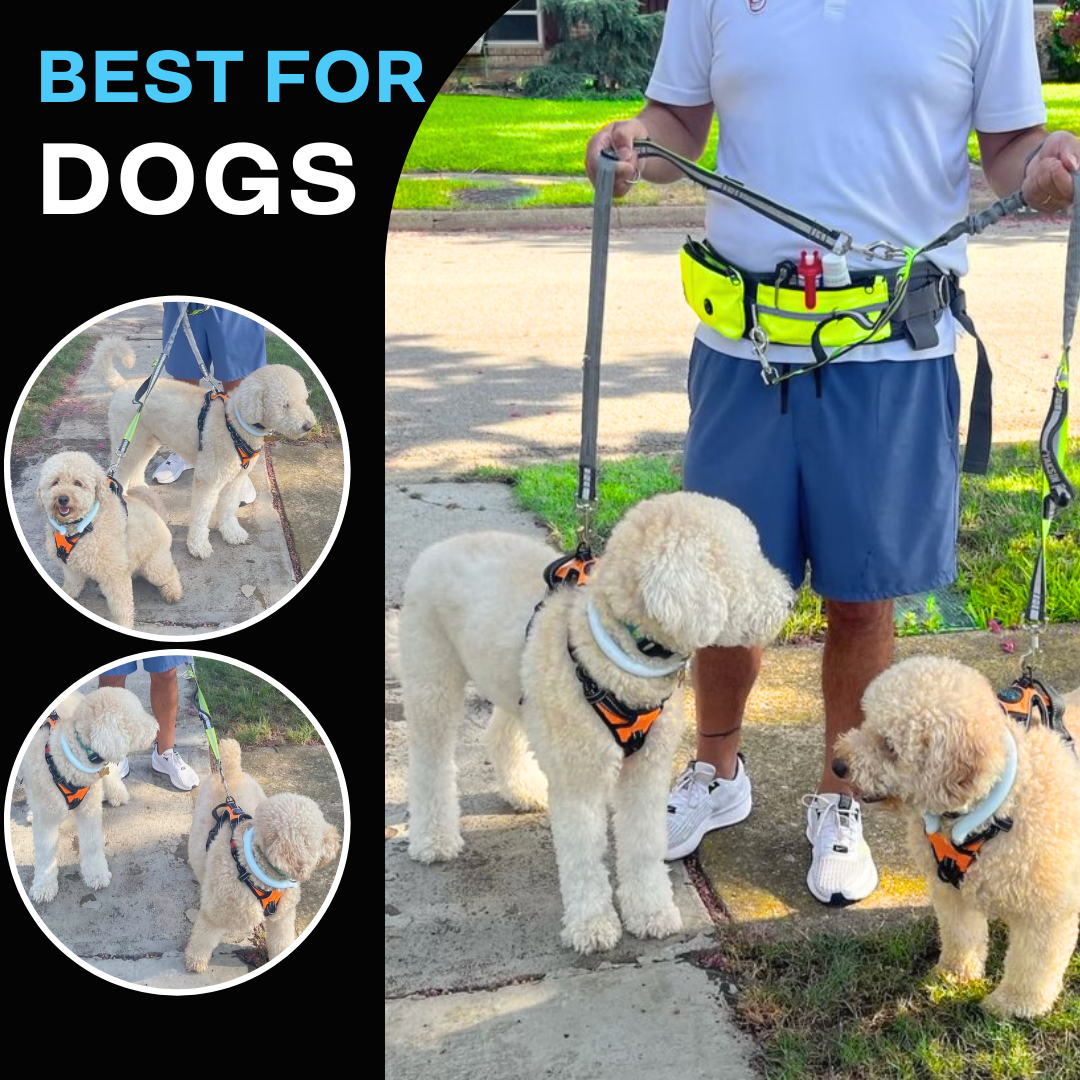 Impact™- Dr. Chilly Ice ring