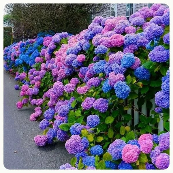 ✨This Week's Special Price $3.29💥-Outdoor Artificial Hydrangea Flowers💐