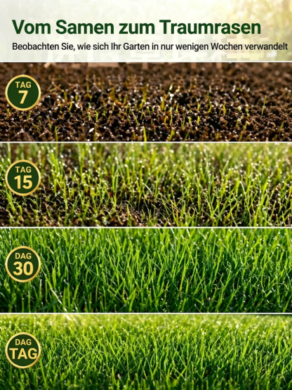 JS-[99 % Keimrate in 7 Tagen] Grassamen verschiedener Sorten.Üppiges Grün das ganze Jahr über