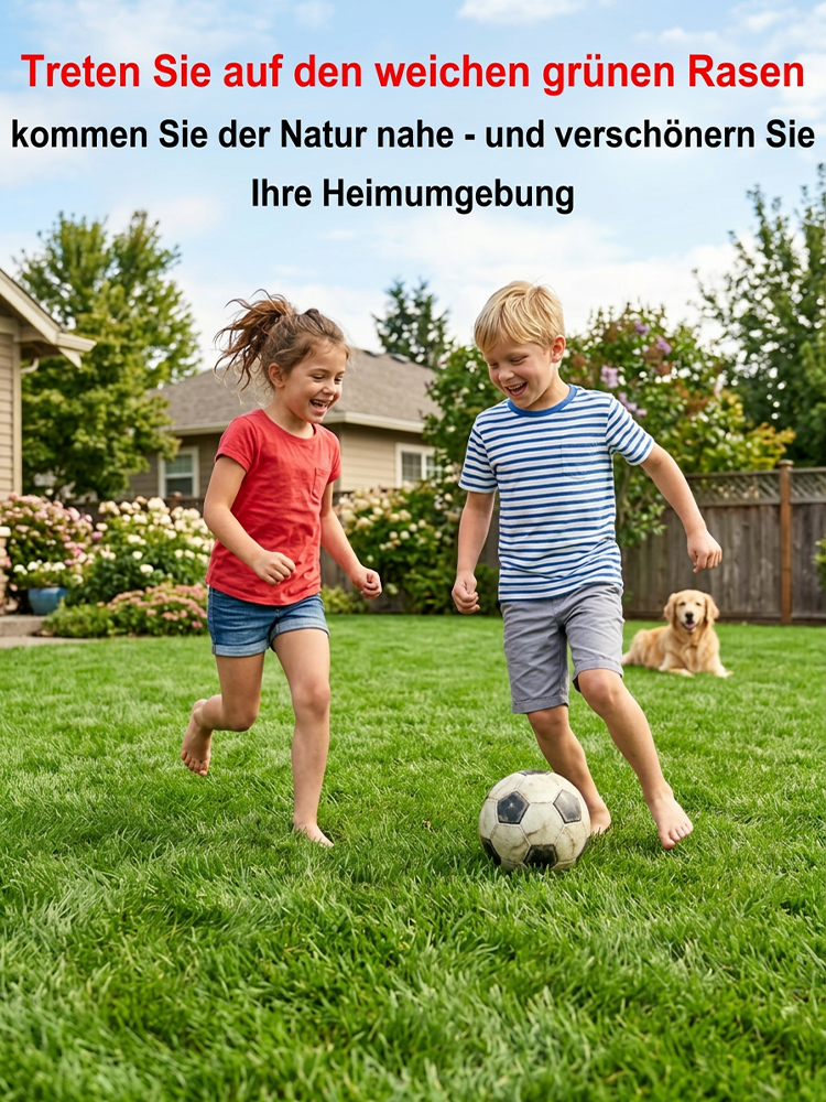 JS-[99 % Keimrate in 7 Tagen] Grassamen verschiedener Sorten.Üppiges Grün das ganze Jahr über