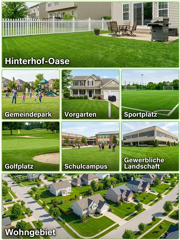 JS-[99 % Keimrate in 7 Tagen] Grassamen verschiedener Sorten.Üppiges Grün das ganze Jahr über