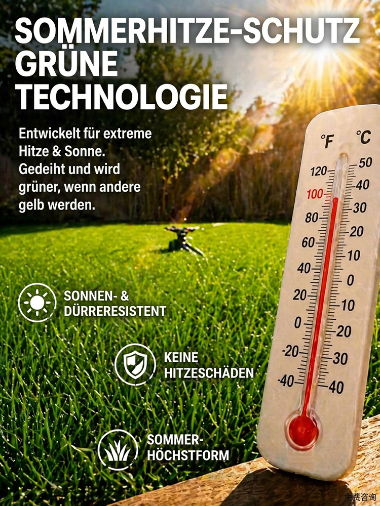 JS-[99 % Keimrate in 7 Tagen] Grassamen verschiedener Sorten.Üppiges Grün das ganze Jahr über