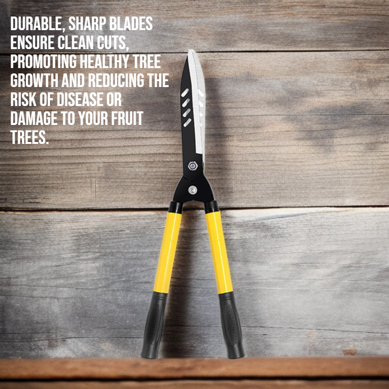 Garden fruit tree high branch scissors