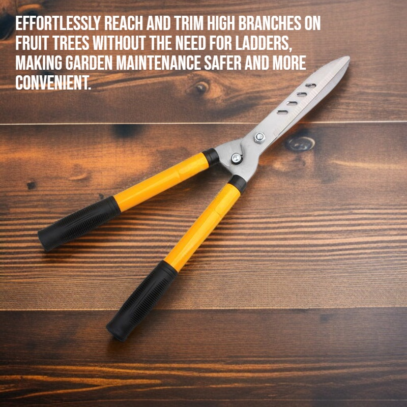 Garden fruit tree high branch scissors