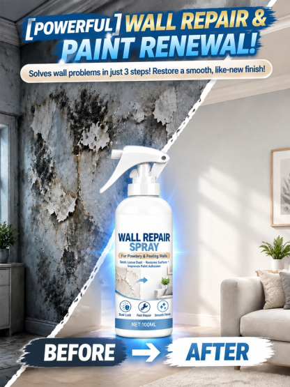 Wall Dusting Repair Spray