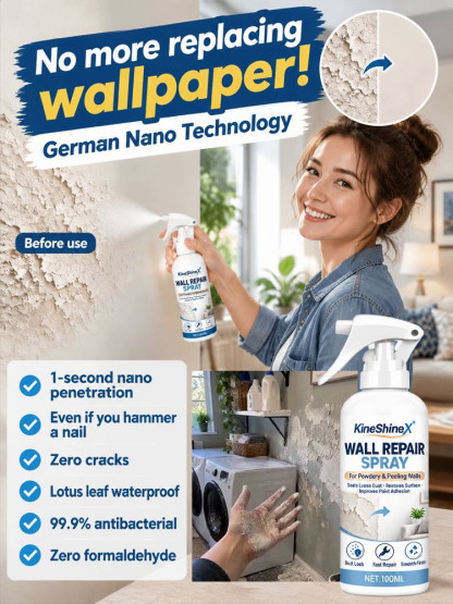Wall Dusting Repair Spray