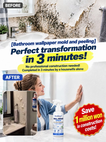 Wall Dusting Repair Spray