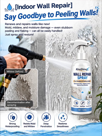 Wall Dusting Repair Spray