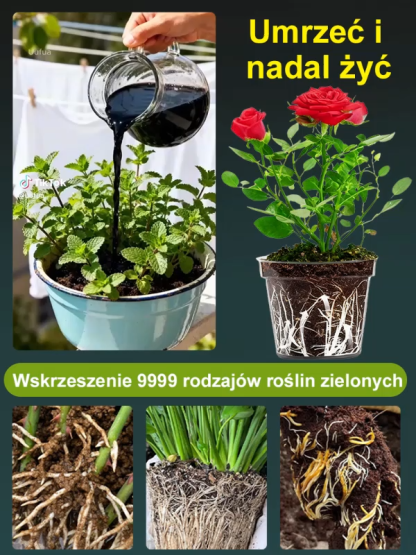 Aktywator składników odżywczych gleby – można go ożywić nawet po śmierci