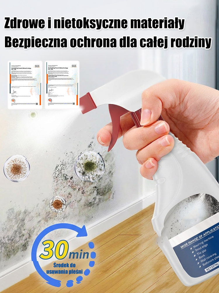 Odnawiający spray do ścian przeciw pleśni i zabrudzeniom