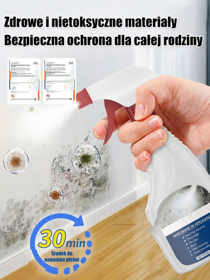 Odnawiający spray do ścian przeciw pleśni i zabrudzeniom