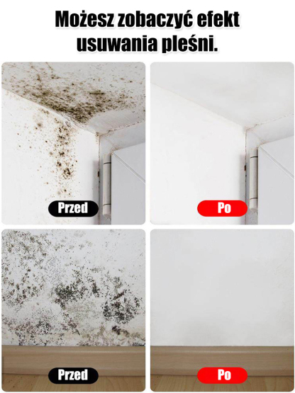 Odnawiający spray do ścian przeciw pleśni i zabrudzeniom