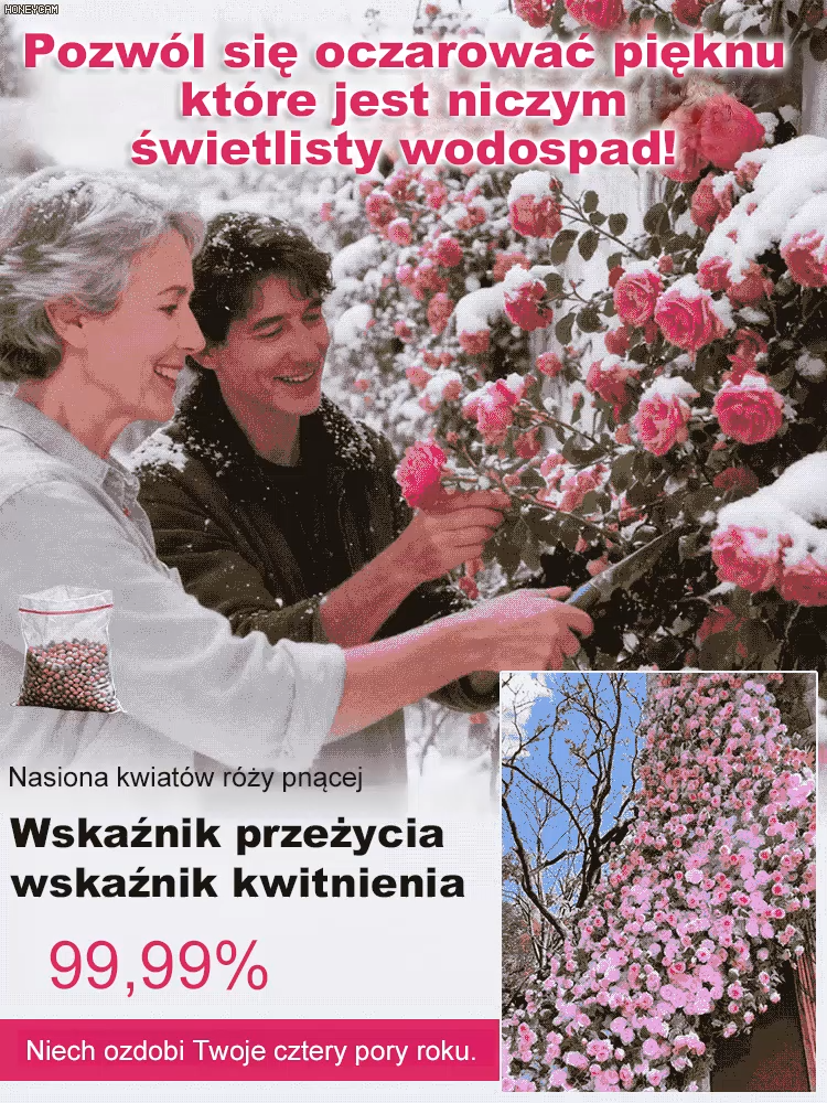 Całoroczne kwitnienie nasiona róż pnących