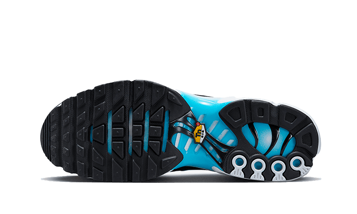 niqdfke Air Max Plus Baltic Blue
