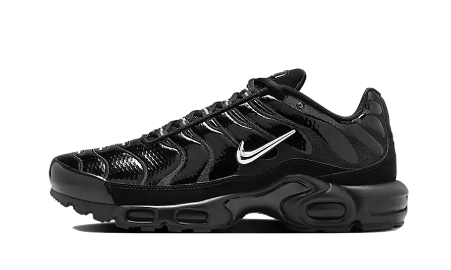 niqdfke Air Max Plus Black Chrome