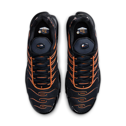 niqdfke Air Max Plus Dark Obsidian Monarch