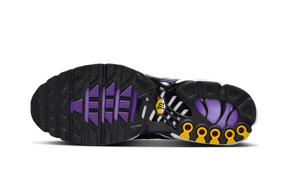 niqdfke Air Max Plus OG Voltage Purple (2024)