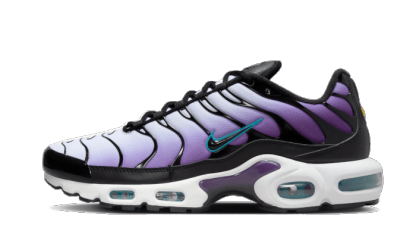 niqdfke Air Max Plus Reverse Grape