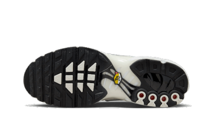 niqdfke Air Max Plus Sail Pure Platinum Silver