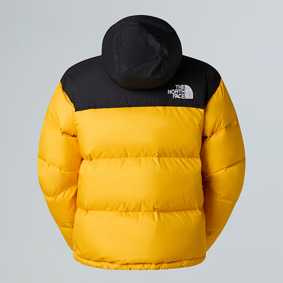 Veste 1996 Retro Nuptse pour