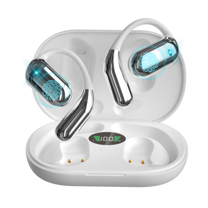 Truevista AI Translation Earbuds