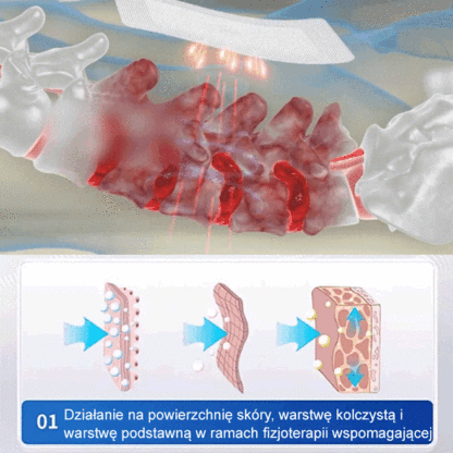 【Natychmiastowy efekt】Plaster do terapii stawów barkowych, lędźwiowych i nóg. 10-krotny zwrot za podróbkę | Gwarancja satysfakcji lub zwrot pieniędzy.