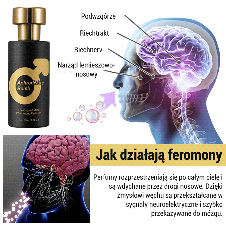 Damskie i męskie perfumy uwodzące.