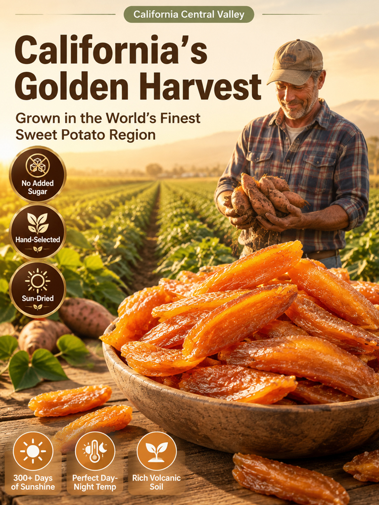 【North Carolina Farm Direct Natural Sweet Masterpiece】Pure Steamed Dried Sweet Potatoes | Rich in Fiber & Potassium • Zero Added Sugar | Digestive Health Booster • Buy 1 Get 1 FREE✨