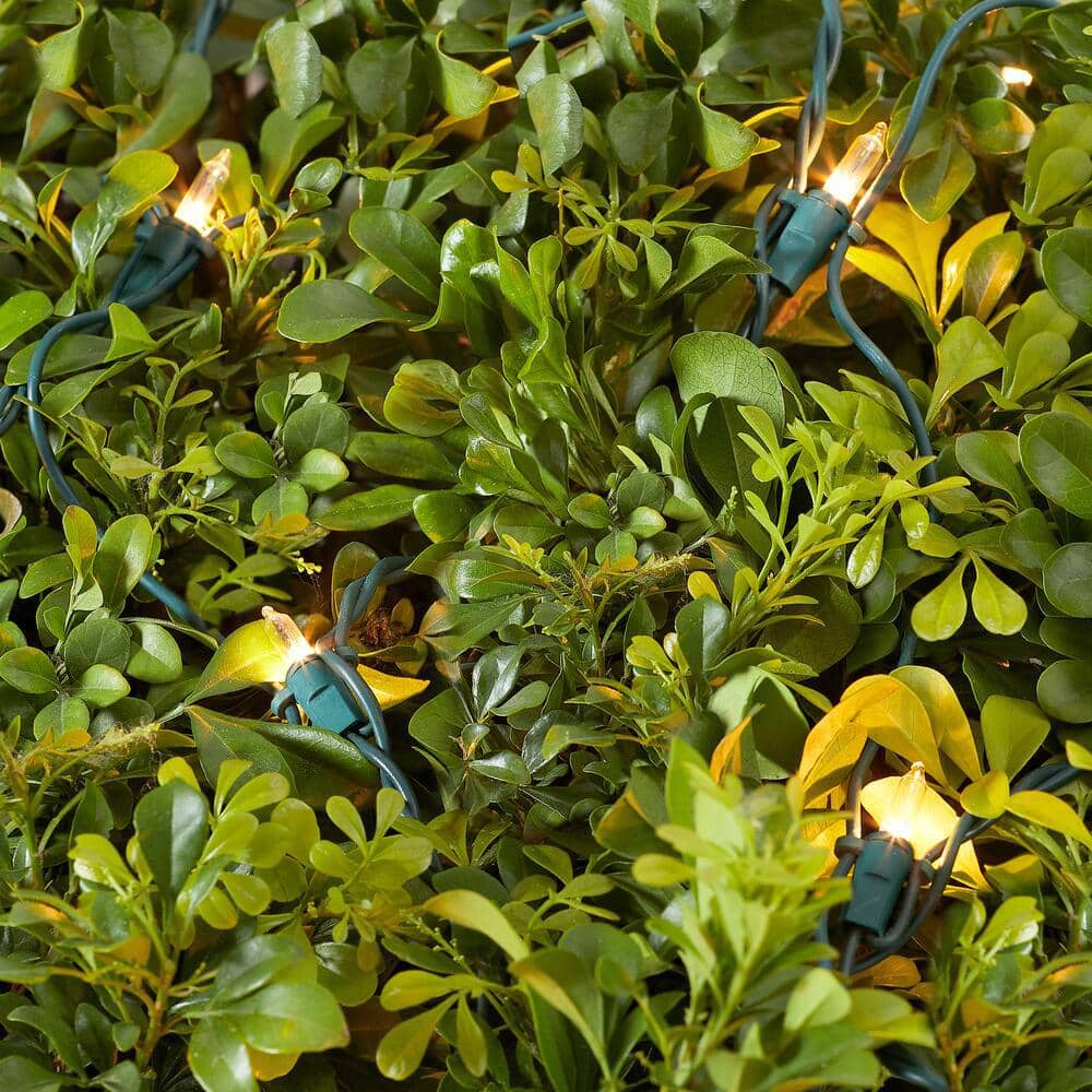 150 Clear Incandescent Mini Net Lights